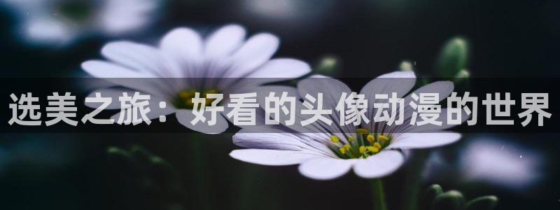 动漫屋官方正版：选美之旅：好看的头像动漫的世界