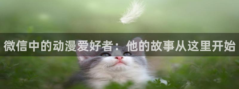 动漫屋 下载：微信中的动漫爱好者：他的故事从这里开始