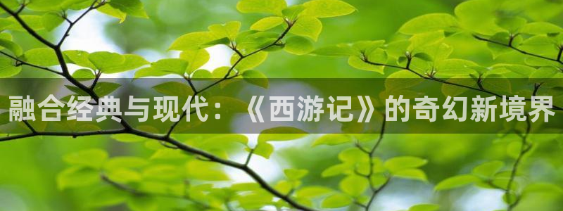 dm5动漫屋：融合经典与现代：《西游记》的奇幻新境界