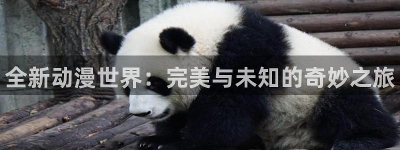 动漫屋官方下载：全新动漫世界：完美与未知的奇妙之旅