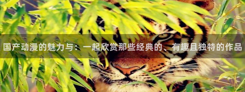 绅士动漫屋：国产动漫的魅力与：一起欣赏那些经典的、有趣且独特的作品