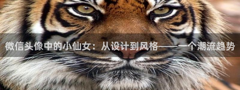 动漫屋目：微信头像中的小仙女：从设计到风格——一个潮流趋势